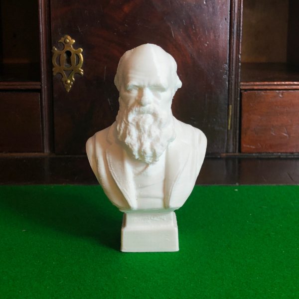 A 3D printed bust of Charles Darwin